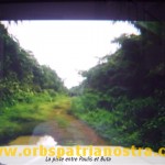 Congo 65 - la piste ... entre Paulis et Buta Congo 65 - la piste ... entre Paulis et Buta