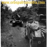 Les Ferrets en mouvement 1965