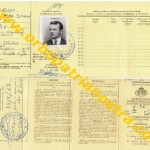 doc katanga permis 1