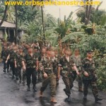opn comores 95 010 opn comores 95 010