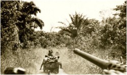 Photo 13 - Jeeps en tête de colonne